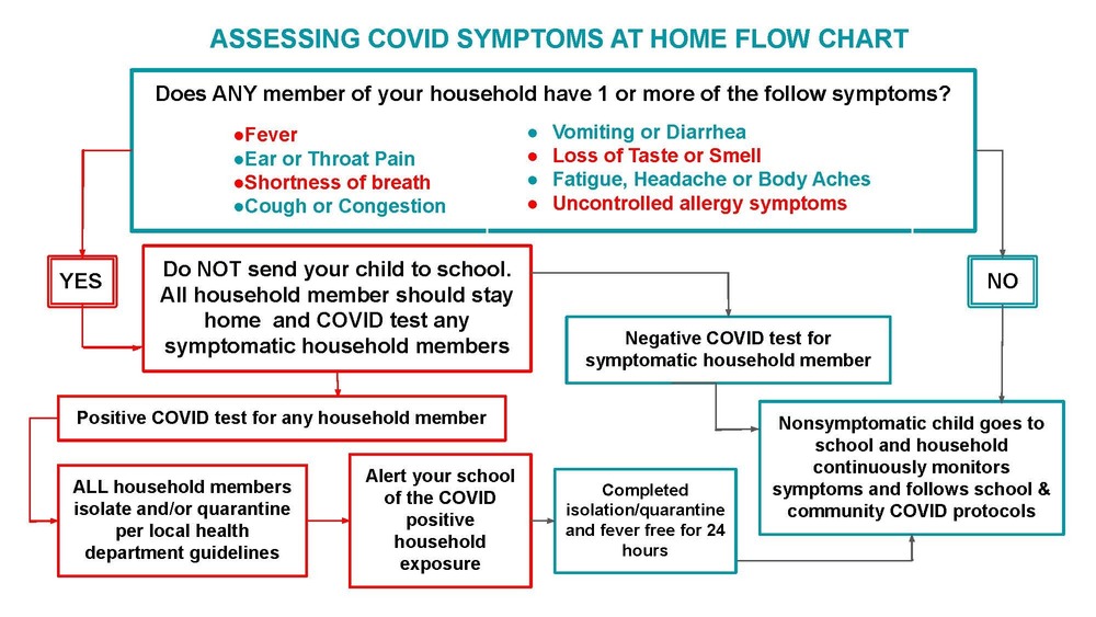 Assessing Covid Symptoms At Home Flow Chart