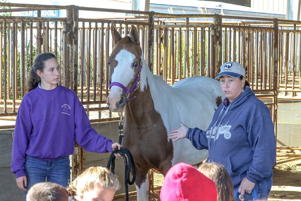 Ag Day 