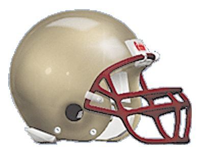 Pulaski County Cougar Football helmet